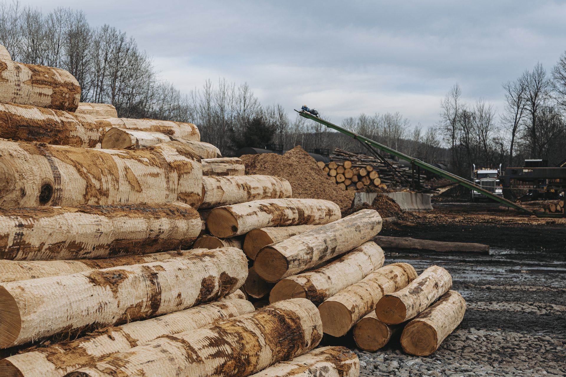 Sustainable logging Centre Hall