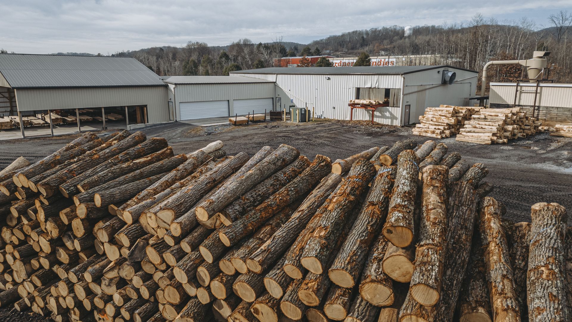 Sustainable logging Centre Hall