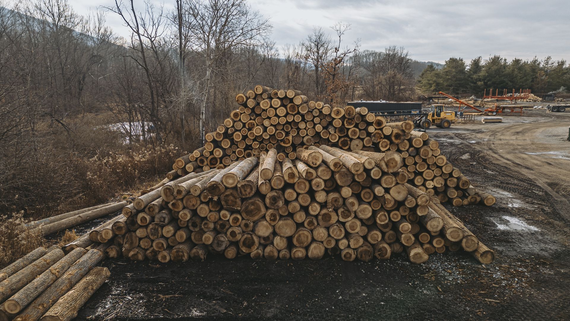 hardwood lumber Boalsburg
