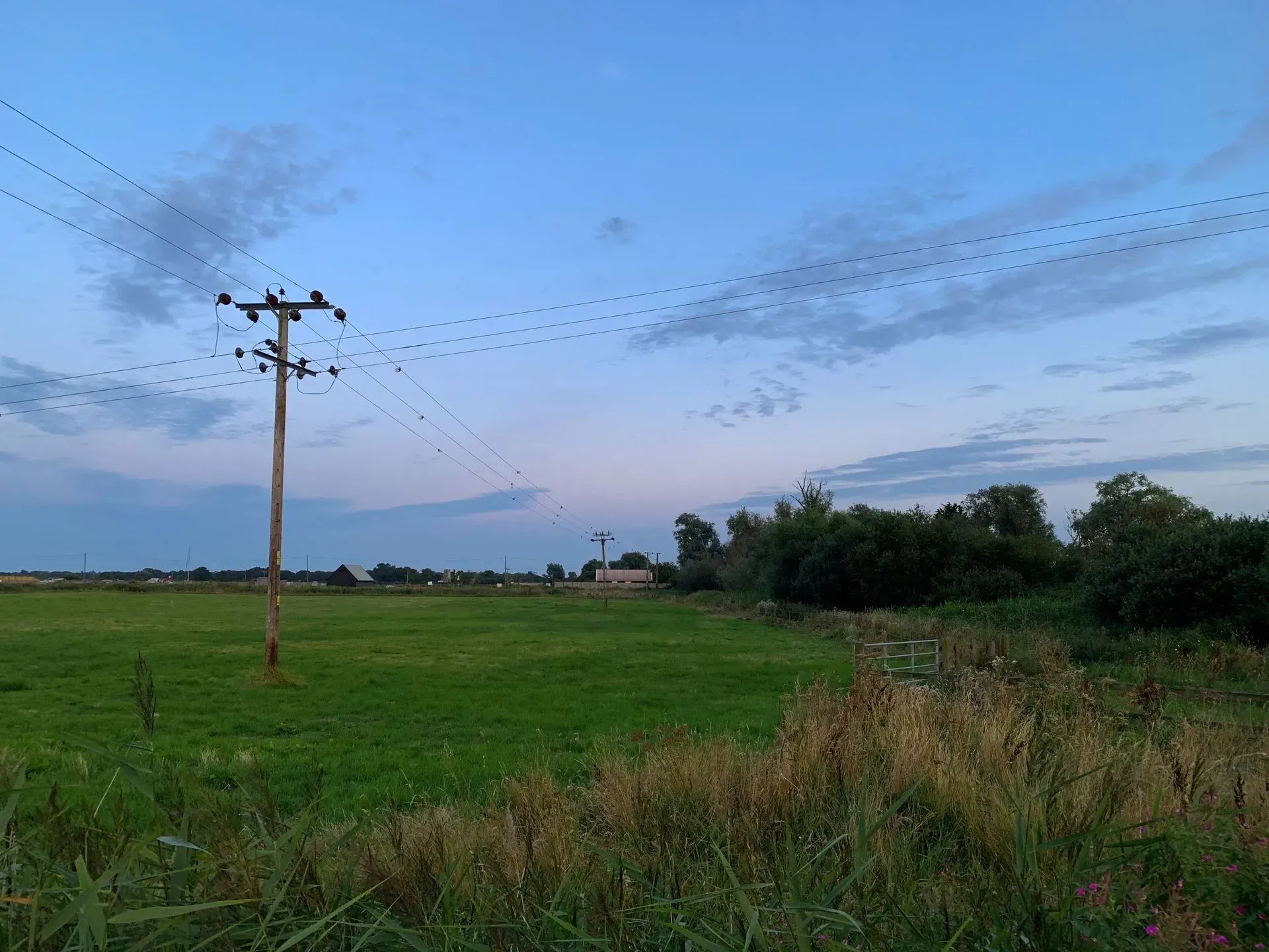 Green Field at Dusk With Birds on Power Lines — KACE Electrical Solutions In Dalby, QLD