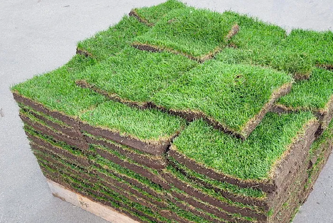 Blokzoden