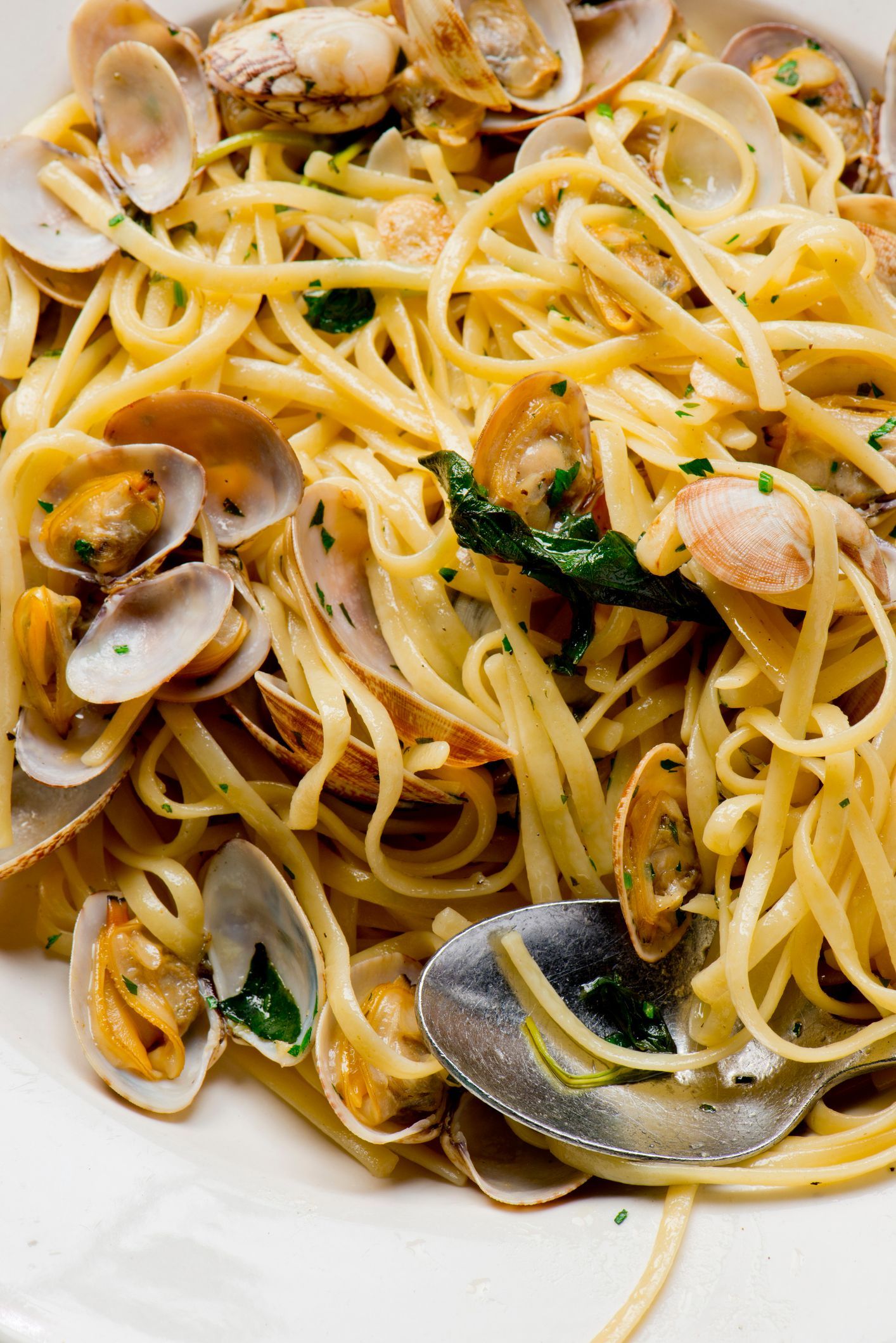 boccaccio