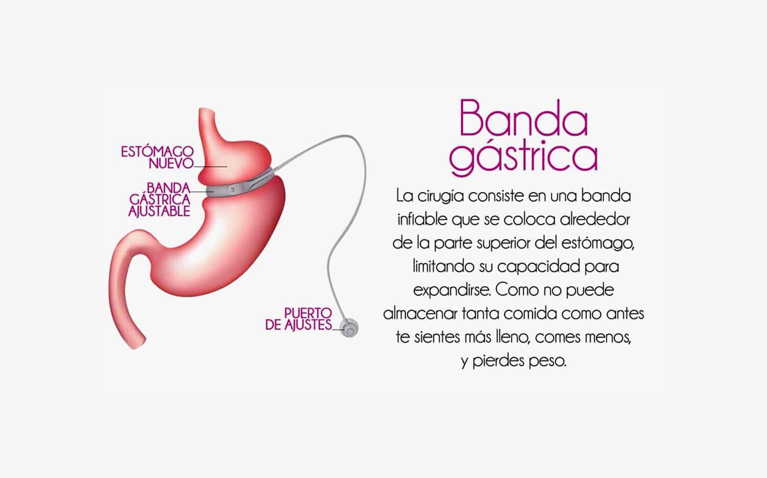 DR. SERGIO U. ACOLTZI ESCORCIA