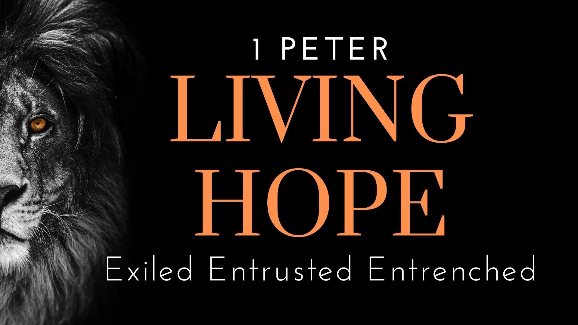Lion face with text: 1 Peter, Living Hope. Exiled, Entrusted, Entrenched.