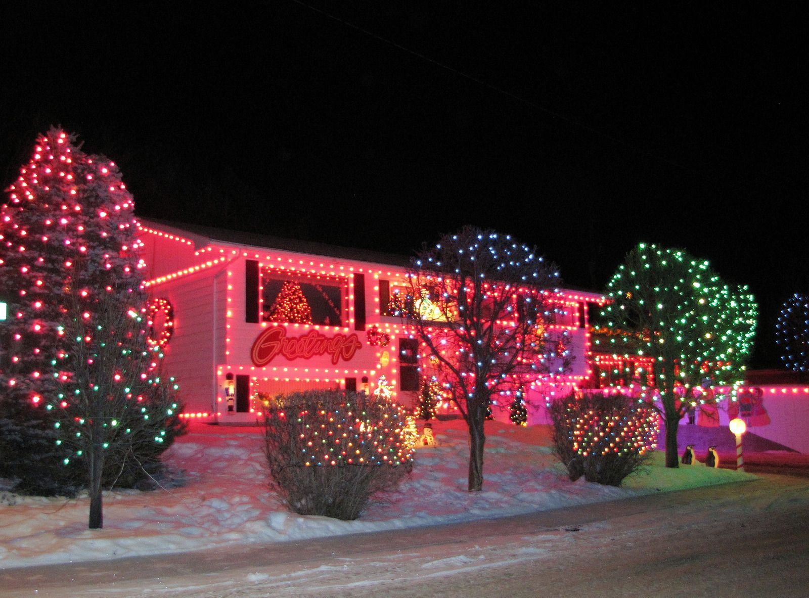 House covered in colorful Christmas lights at night, bushes and trees also lit.