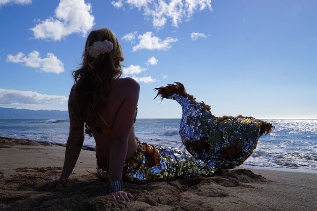 A mermaid is sitting on the beach looking at the ocean.