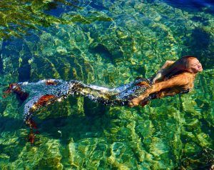 A woman in a mermaid costume is swimming in the ocean.