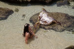 A mermaid is laying on a rock in the water.