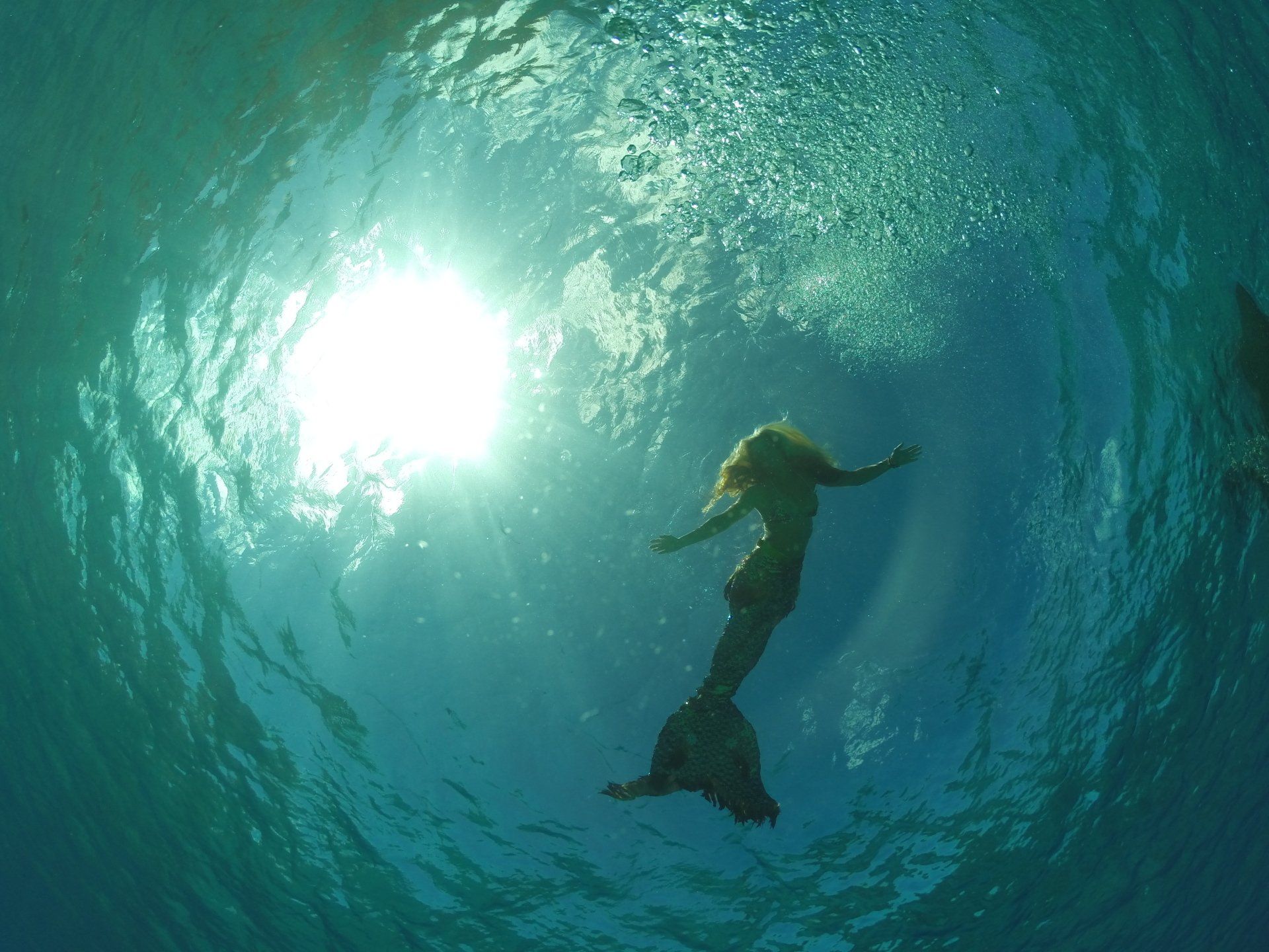 A mermaid is swimming in the ocean with the sun shining through the water.