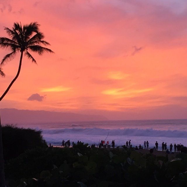 sunsets