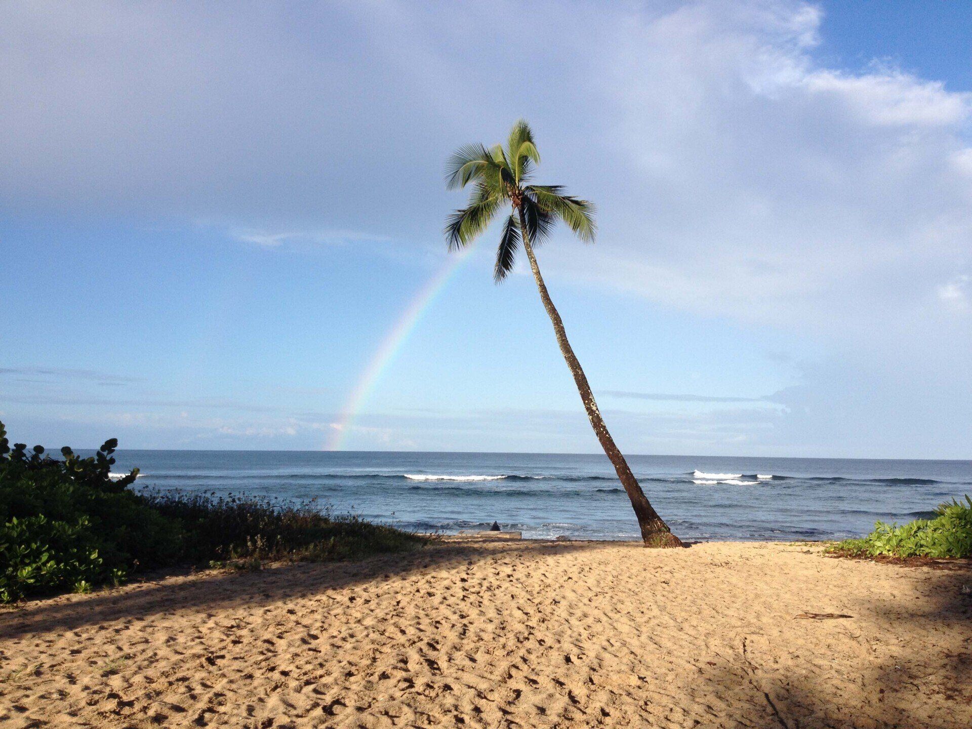 rainbows and surfing learn to surf