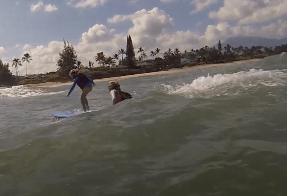 best surf lessons best surf lessons