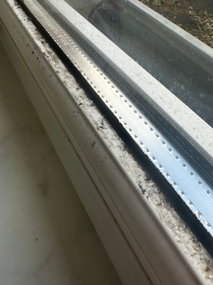 Schimmel am Fenster