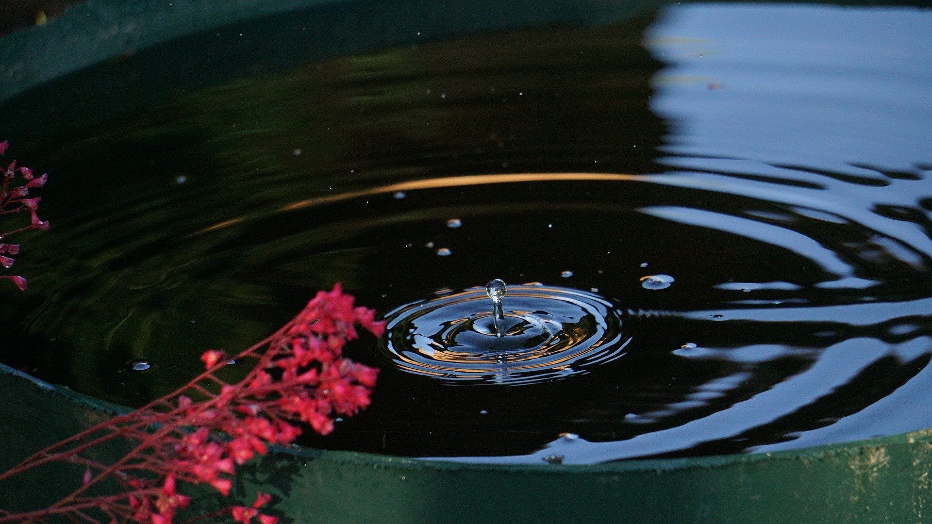 Wasserleitungen und Regentonne winterfest machen