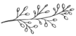 fiore