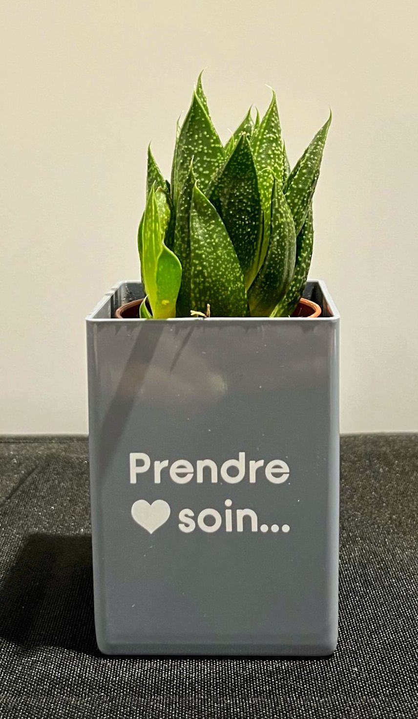 Jardinière carrée grise ornée d'une succulente. Inscription : « Prendre soin… ».