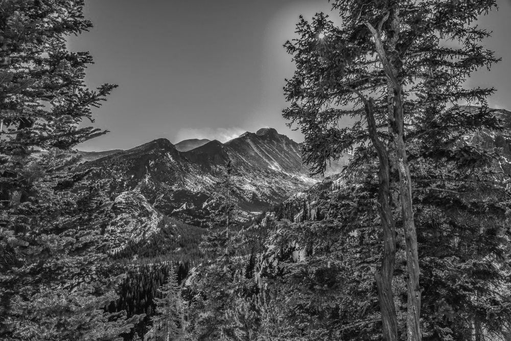 Black-and-white mountain landscape with tall trees framing a rugged peak under a clear sky
