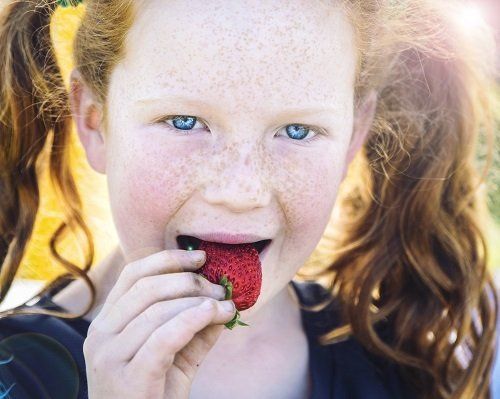 Marlborough Farmers Market news 2022