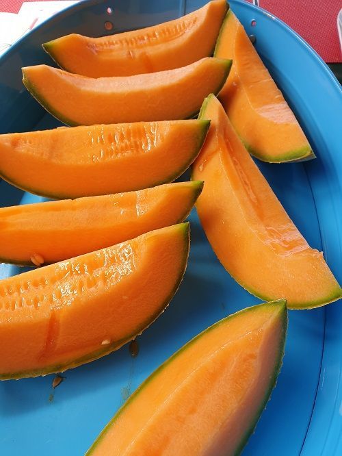 Marlborough Farmers Market news 2022