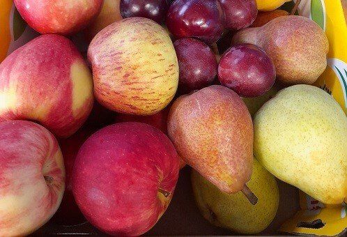 Marlborough Farmers Market news 2022