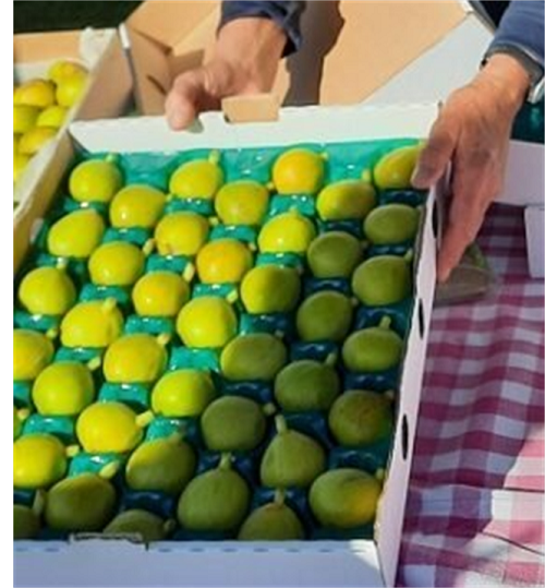 Marlborough Farmers Market news 2022