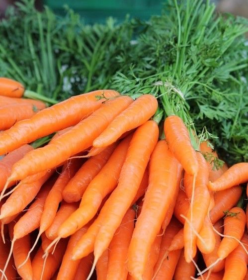 Marlborough Farmers Market news 2022