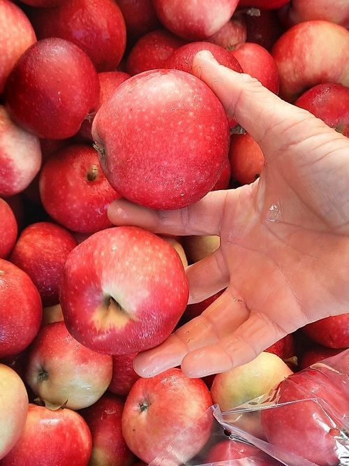 Marlborough Farmers Market news 2022