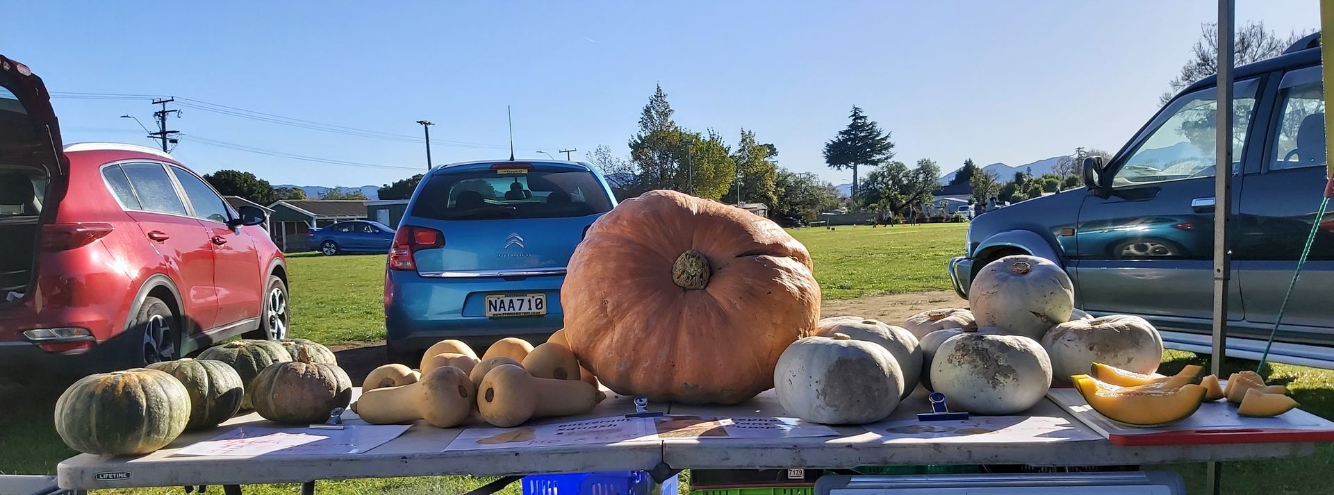 Marlborough Farmers Market news 2022