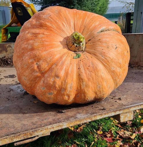 Marlborough Farmers Market news 2022