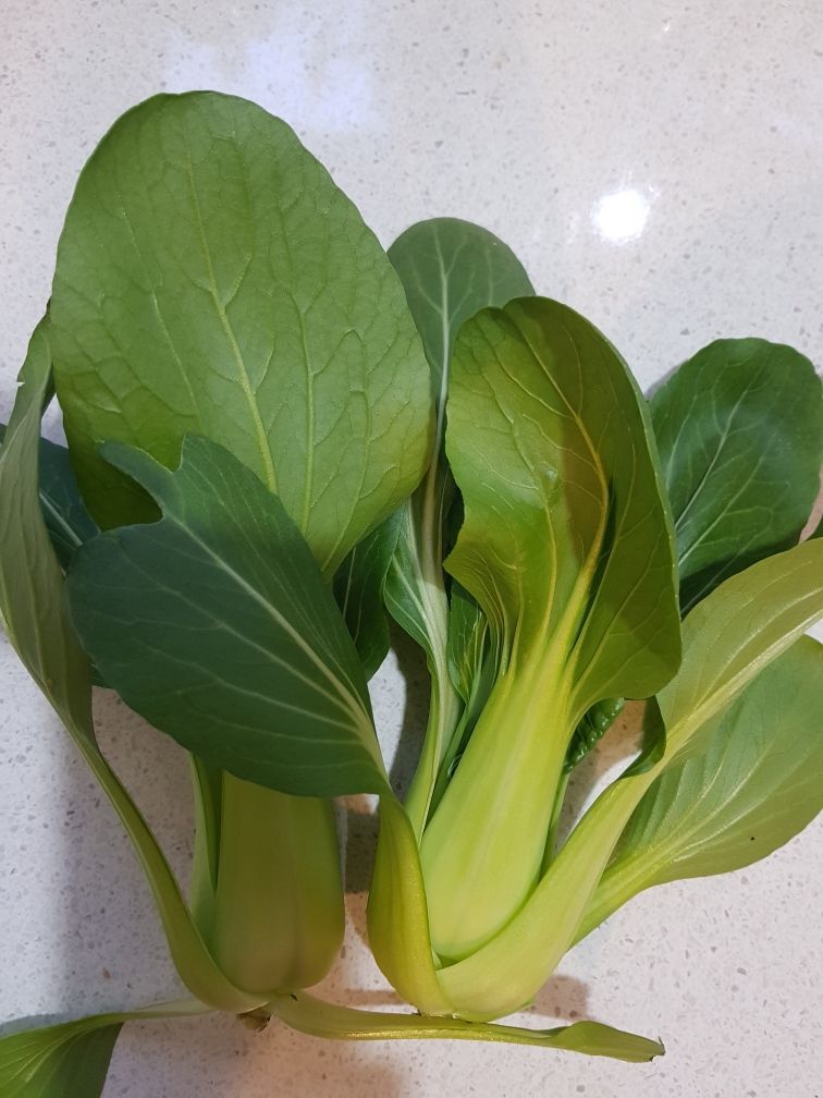 Marlborough Farmers Market news 2022