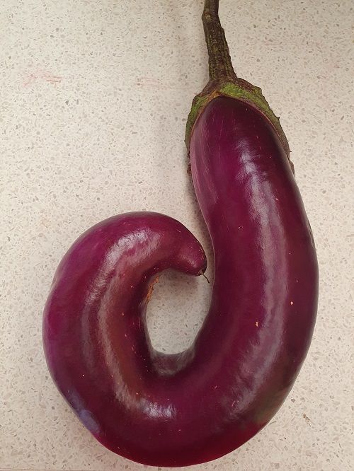 Marlborough Farmers Market news 2022