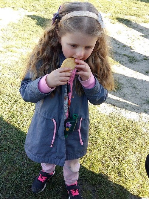 Marlborough Farmers Market news 2022