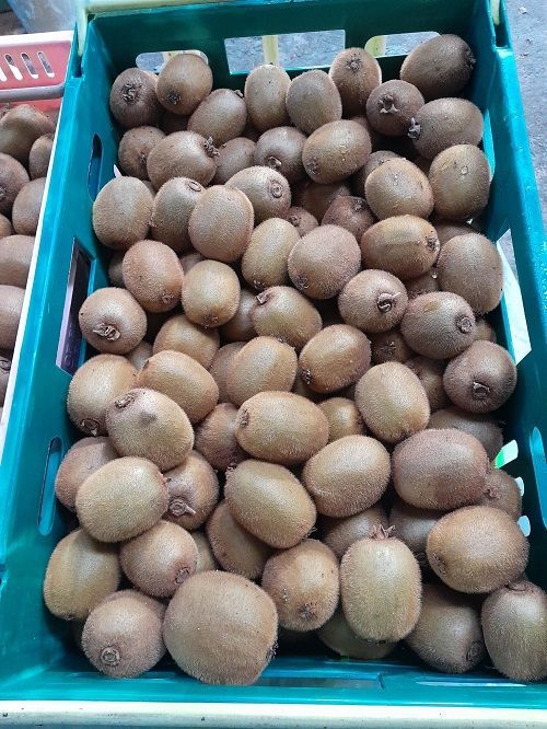 Marlborough Farmers Market news 2022