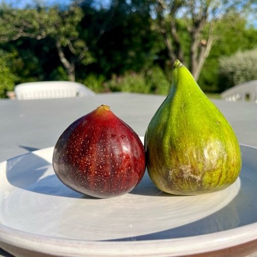 Marlborough Farmers Market news 2022