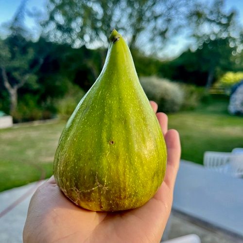 Marlborough Farmers Market news 2022