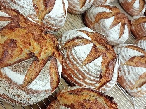 Marlborough Farmers Market news 2022