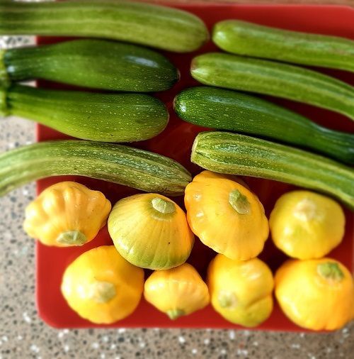 Marlborough Farmers Market news 2022