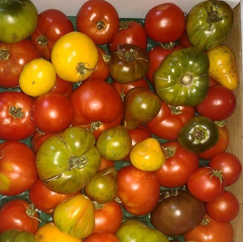 Marlborough Farmers Market news 2022