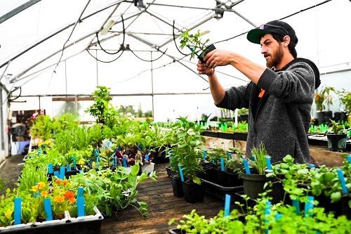 Marlborough Farmers Market news 2022