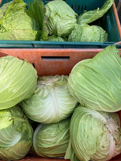 Marlborough Farmers Market news 2022