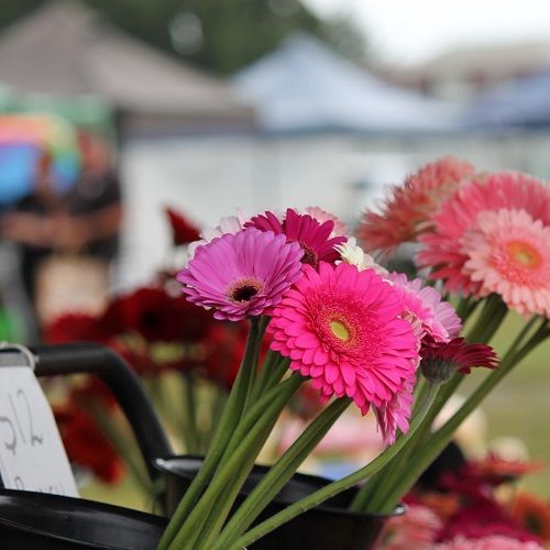 Marlborough Farmers Market news 2022
