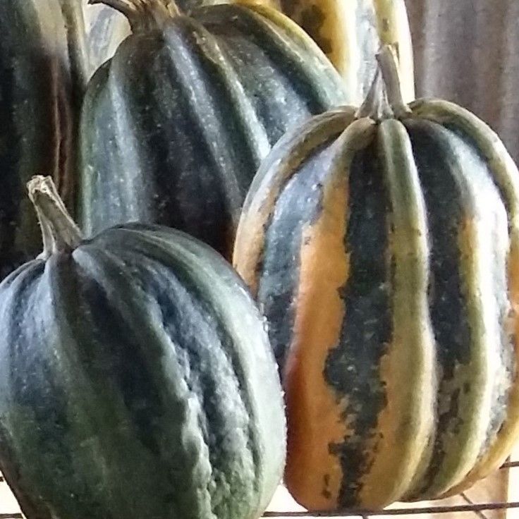 Marlborough Farmers Market news 2022