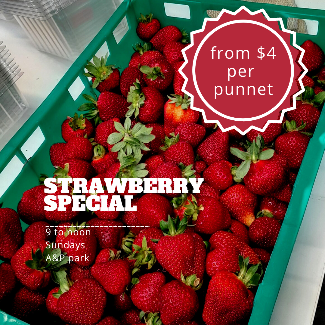 Marlborough Farmers Market news 2022