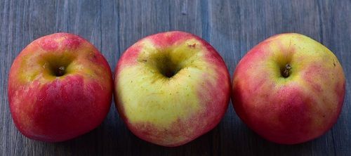 Marlborough Farmers Market news 2022
