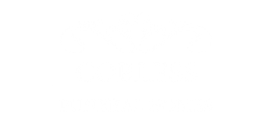 Corless Funeral Homes & Cremation Services