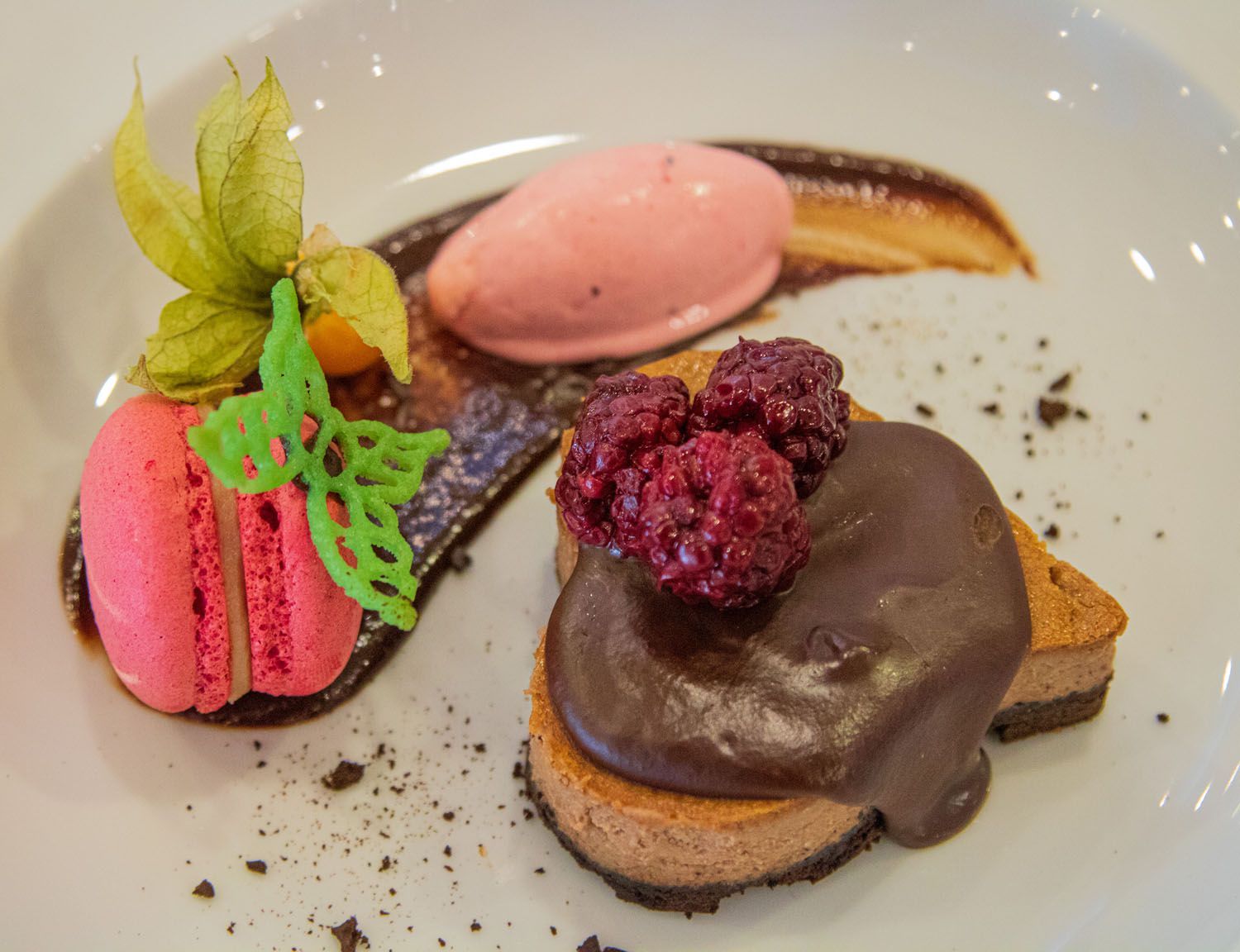 Prato de sobremesa com um macaron rosa, bolo de chocolate com frutas vermelhas, sorvete rosa e calda.