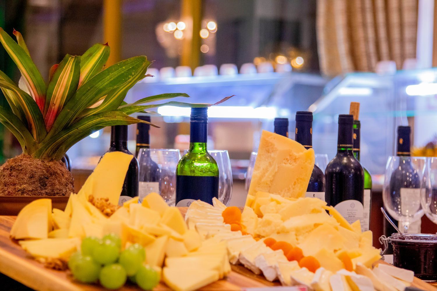 Exposição de degustação de queijos e vinhos, com diversos queijos, garrafas de vinho, taças e uma planta.