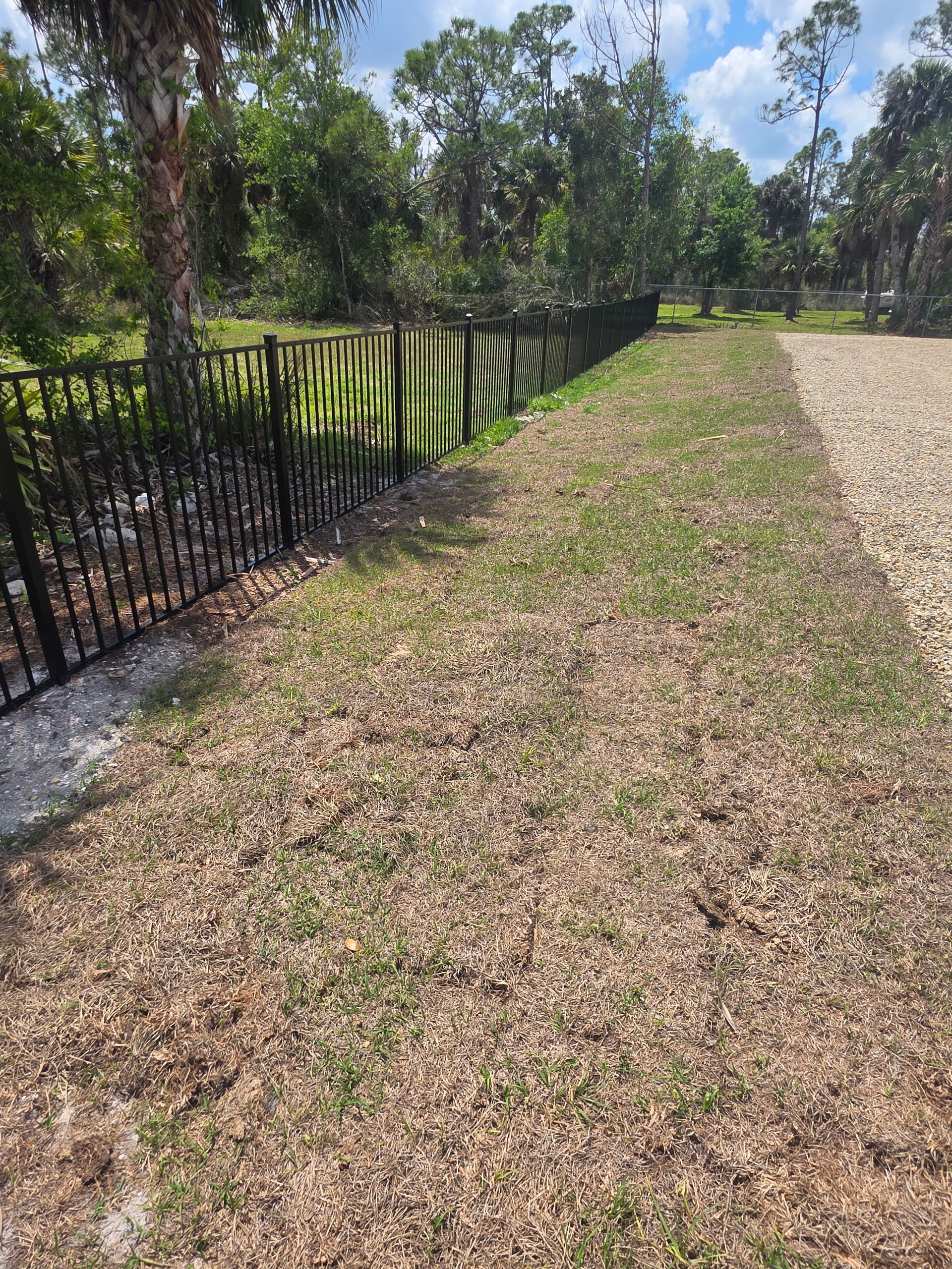Black metal fence beside a grassy path and gravel road in a sunny wooded area