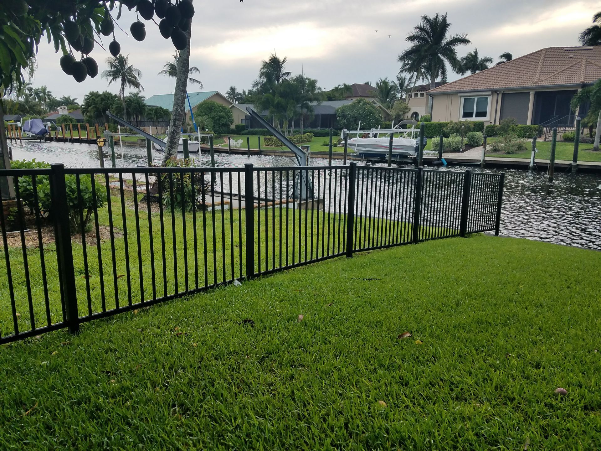 A black fence surrounds a grassy area next to a body of water.
