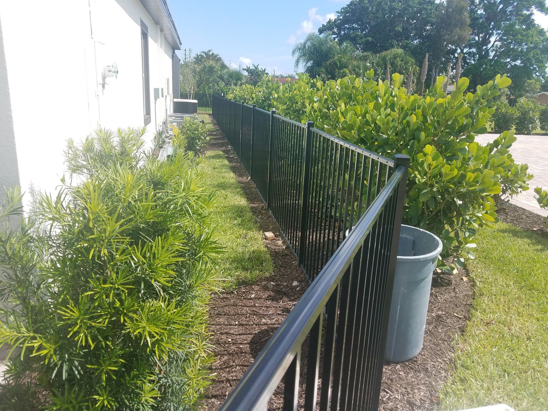 A black metal fence is surrounded by trees and bushes